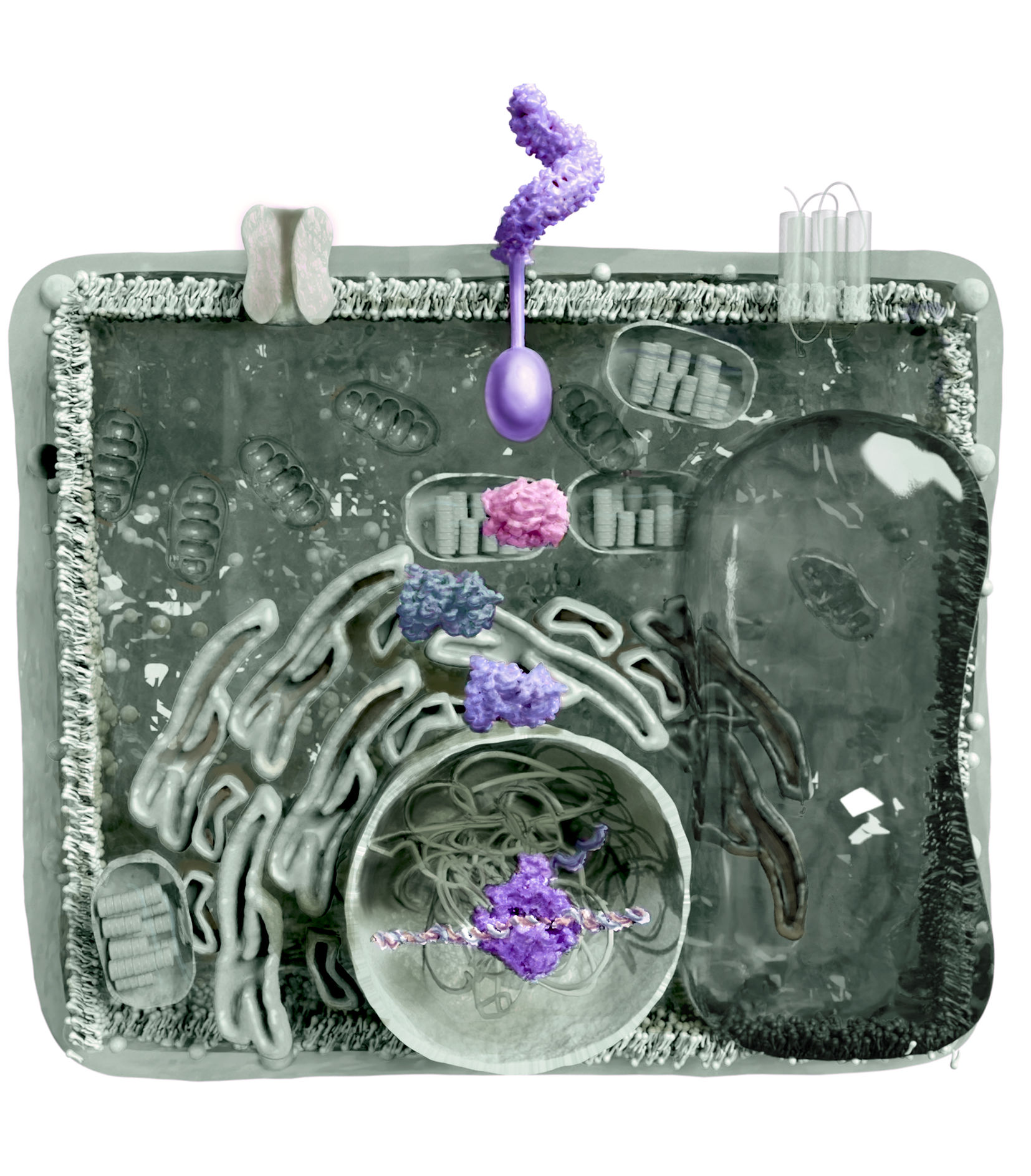 Research Centers & Academia